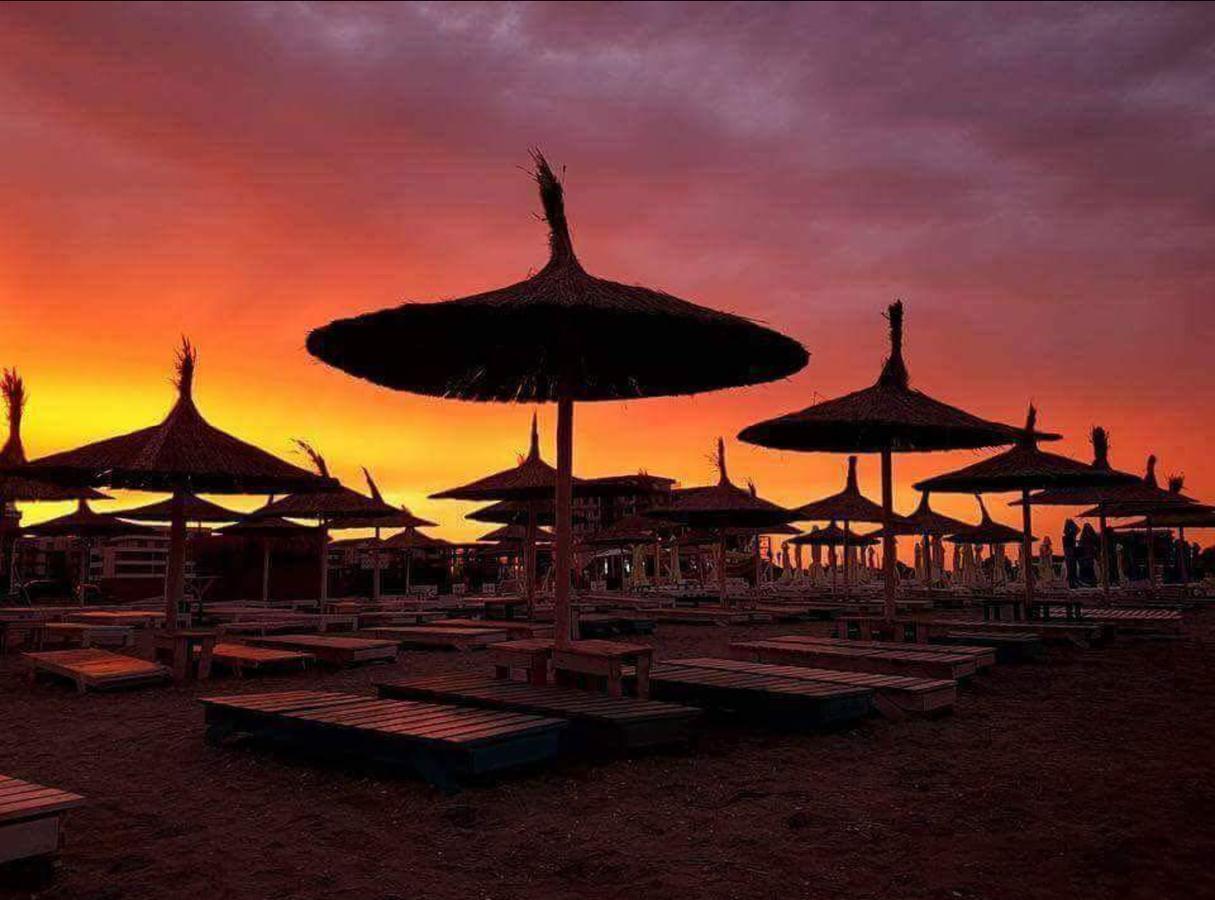 Yvo Lioness & Mamaia Nord Lejlighed Năvodari Eksteriør billede